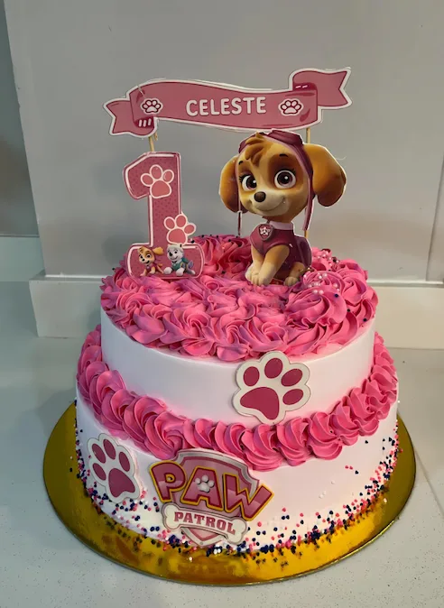 Paw Patrol Pasteleria Saint Michel